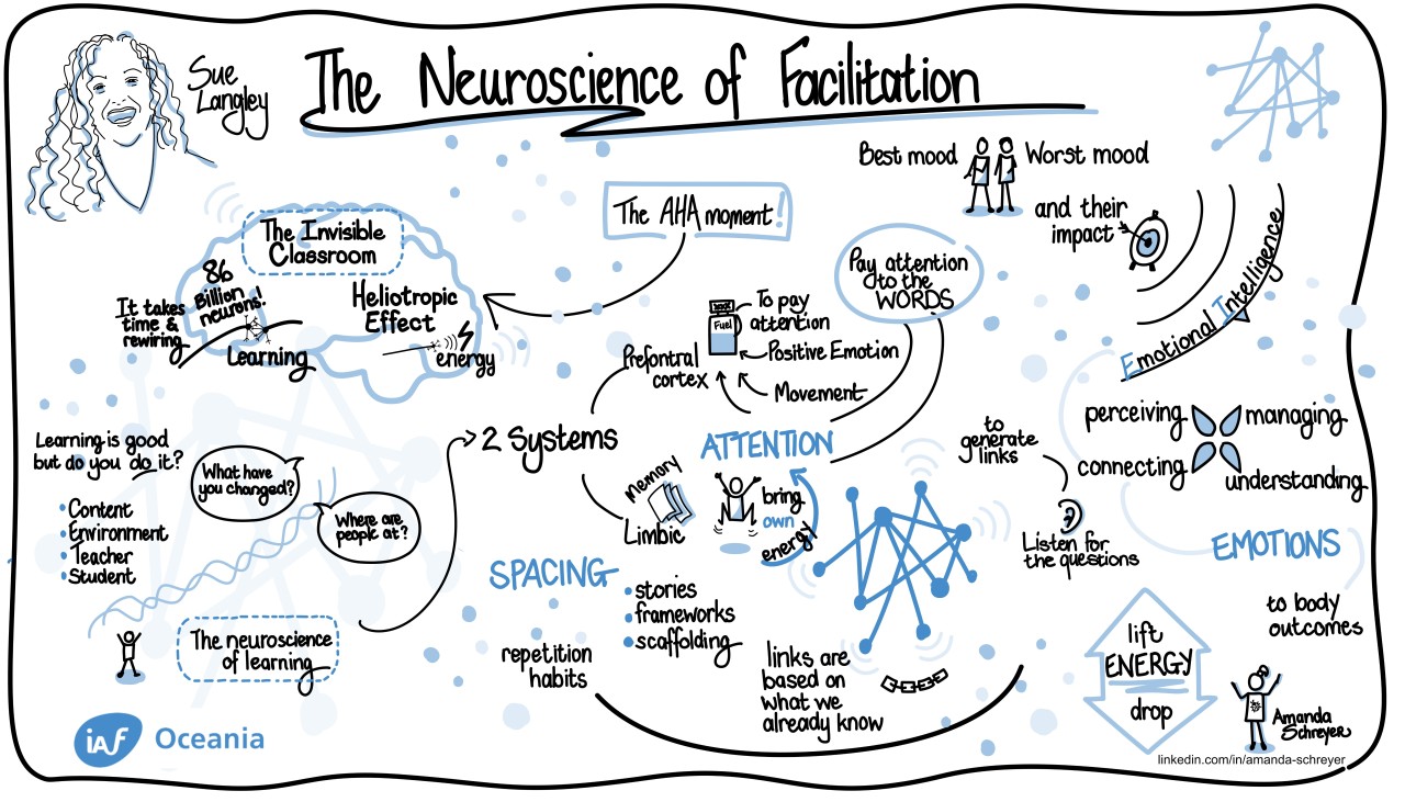 Digital graphic recording of Sue Langley’s Neuroscience of Facilitation masterclass
